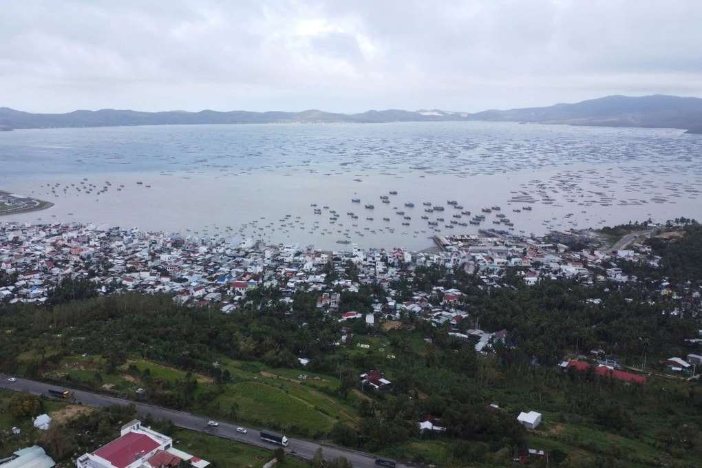 Thủ phủ tôm hùm Đắk Lắk thiệt hại hơn 3.000 tỷ đồng, ngư dân xin giãn nợ - 3 Thủ phủ tôm hùm Đắk Lắk thiệt hại hơn 3.000 tỷ đồng, ngư dân xin giãn nợ - 3