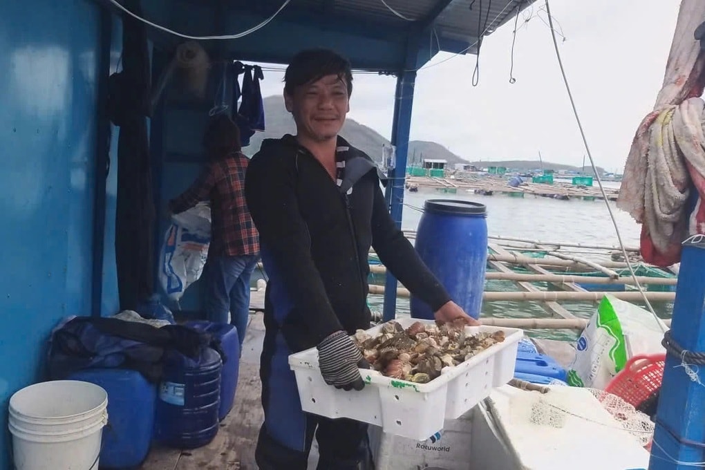 Thủ phủ tôm hùm Đắk Lắk thiệt hại hơn 3.000 tỷ đồng, ngư dân xin giãn nợ - 2 Thủ phủ tôm hùm Đắk Lắk thiệt hại hơn 3.000 tỷ đồng, ngư dân xin giãn nợ - 2