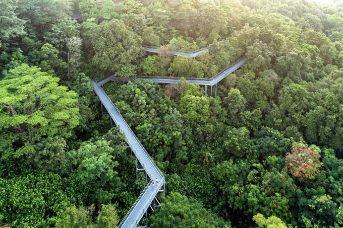 Một phần đường mòn trên cao của Southern Ridges. Ảnh: Singapore Tourism Board