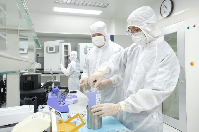 Y bác sĩ xử lý tế bào gốc. Ảnh: Bệnh viện cung cấp