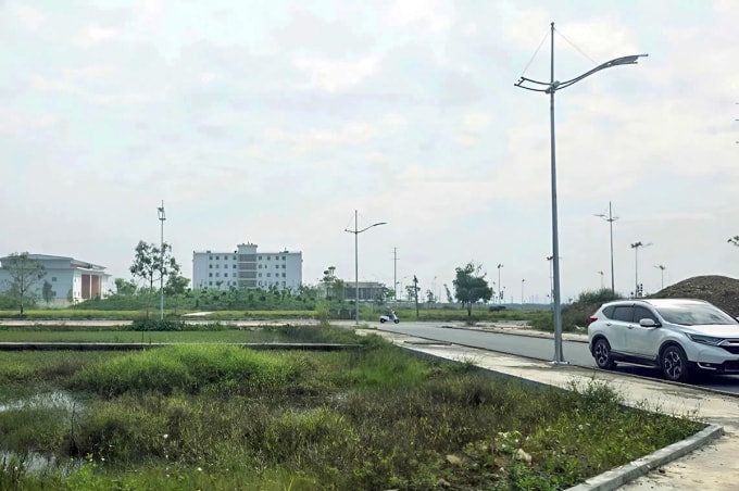 Đất đấu giá thuộc vùng quy hoạch Đồng Màu, xã Đô Lương. Ảnh: Hùng Lê