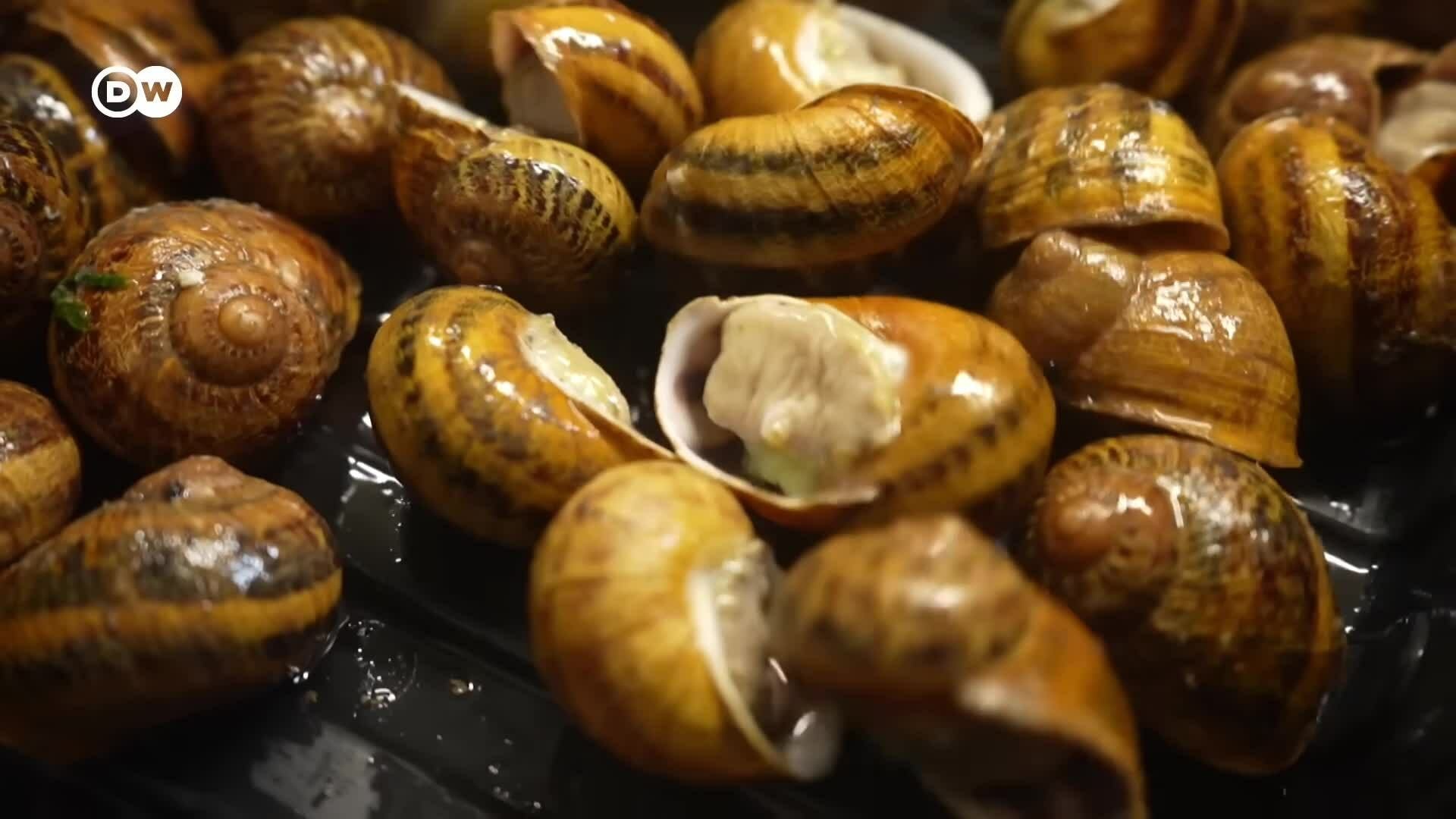 Móc ốc sên nhồi đặc sản Pháp