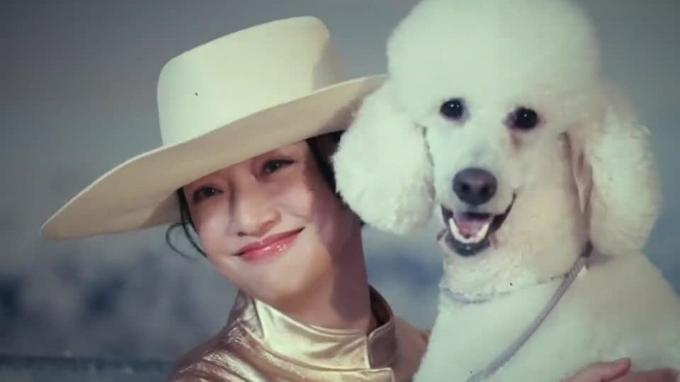 Châu Tấn chụp hình tạp chí tháng 12/2025