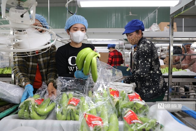 Tp.HCM: Xây dựng mô hình sinh thái nông nghiệp công nghệ cao - Ảnh 4.