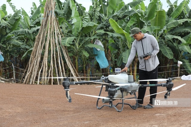 Tp.HCM: Xây dựng mô hình sinh thái nông nghiệp công nghệ cao - Ảnh 5.