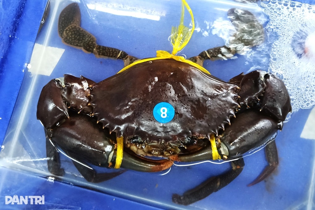 Tìm nhân lực nghiên cứu gen cua biển - 1