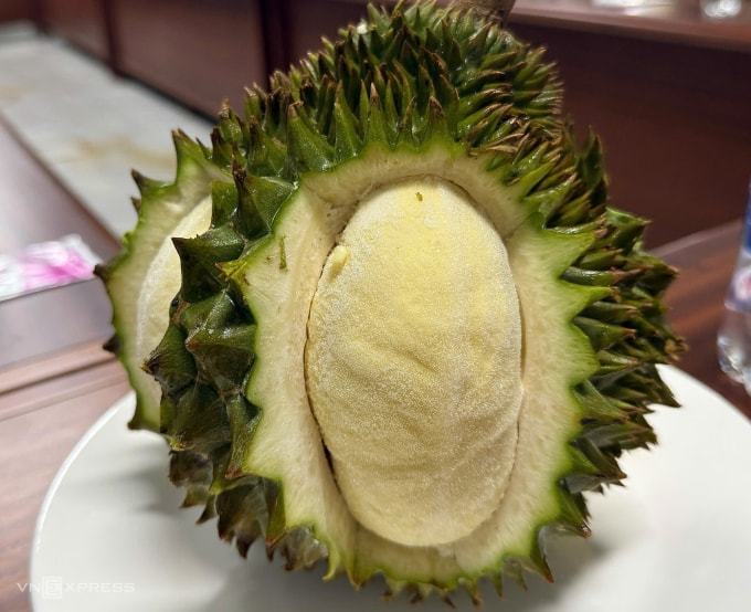Trái sầu riêng Monthong được HAG thử nghiệm cấp đông để hoàn thiện quy trình cho giai đoạn cấp đông sầu riêng nguyên quả để xuất khẩu vào năm 2026. Ảnh: Thi Hà