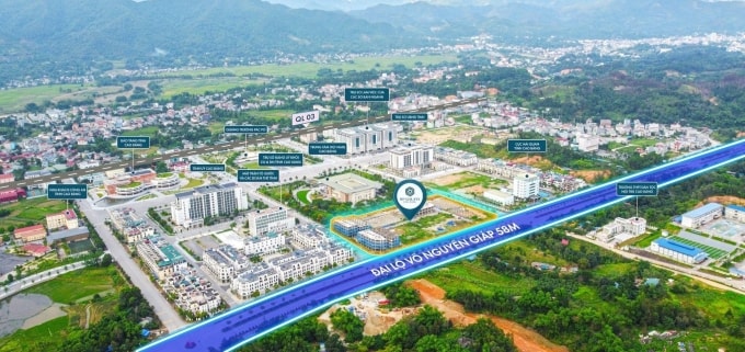 Quỹ căn ra mắt trong giai đoạn 2 sở hữu vị trí mặt tiền đại lộ. Ảnh: SGO Đại Dương