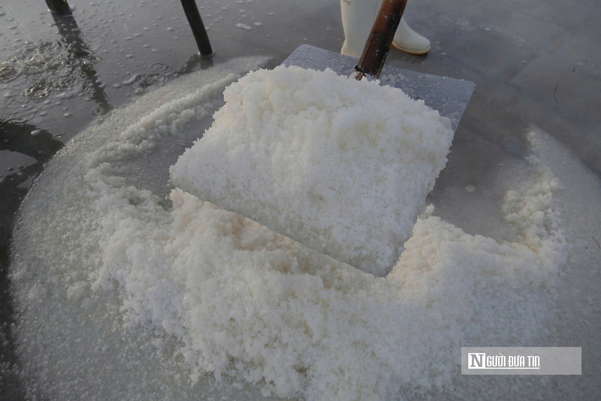 Hành trình diêm dân nhờ nâng tầm giá trị muối thành “vàng trắng