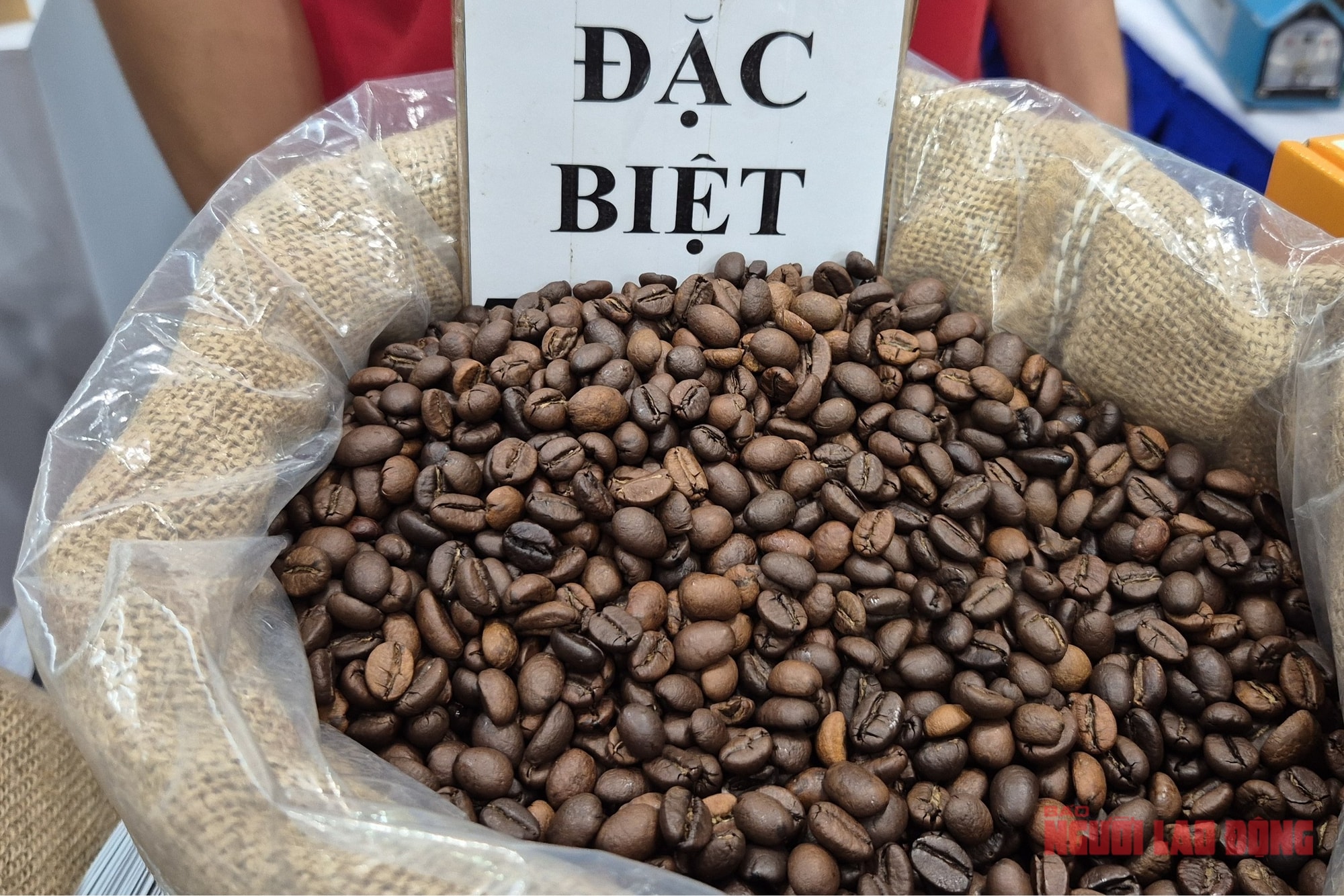 Giá cà phê hôm nay 27 - 11 giảm nhẹ do thời tiết thuận lợi cho thu hoạch - Ảnh 1. Giá cà phê hôm nay 27 - 11 giảm nhẹ do thời tiết thuận lợi cho thu hoạch - Ảnh 1.