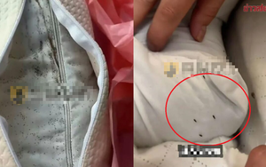 Tá hỏa khi phát hiện rắn hổ mang chúa nặng 7 kg trong vườn nhà - Ảnh 4.