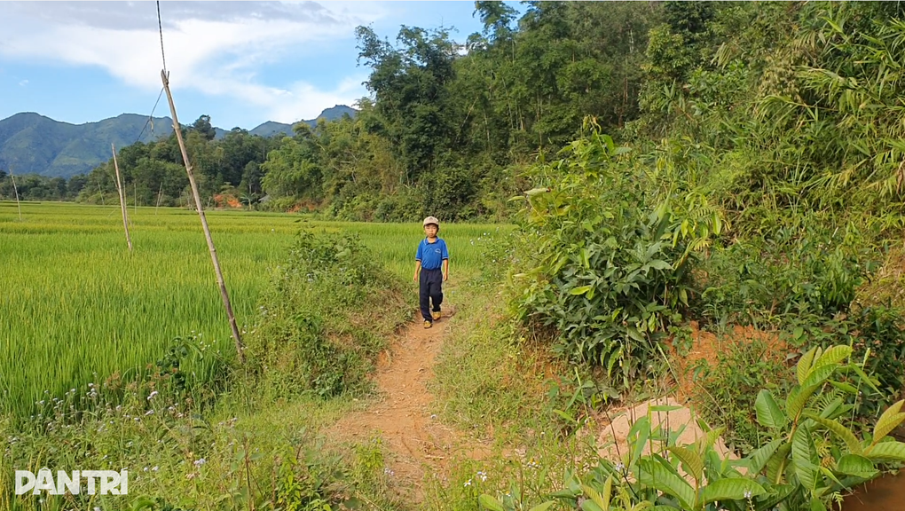 Chồng u bướu, con bệnh hiểm, người phụ nữ chăn bò thuê gồng gánh gia đình - 2 Chồng u bướu, con bệnh hiểm, người phụ nữ chăn bò thuê gồng gánh gia đình - 2