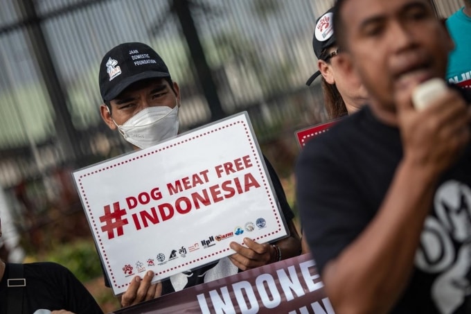 Các nhà hoạt động vì quyền động vật tổ chức biểu tình Indonesia không thịt chó trước tòa nhà thị chính ở Jakarta, tháng 2/2024. Ảnh: AFP