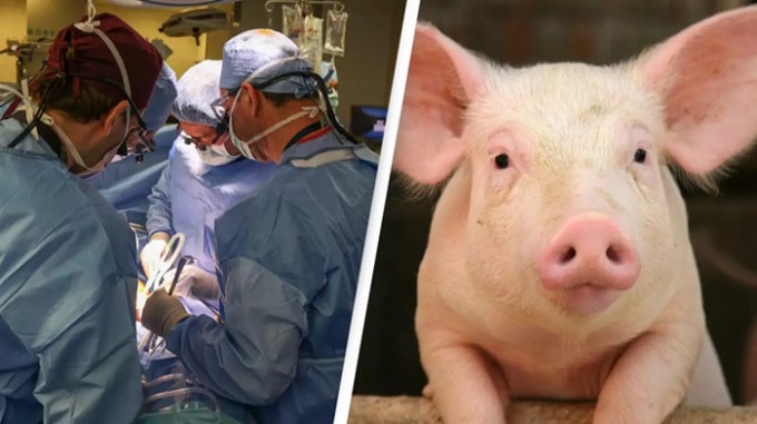 Ảnh minh họa: Medicircle