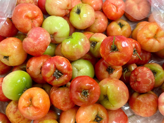 Nên ăn 5-10 quả sơ ri mỗi ngày để hỗ trợ tăng cường sức khỏe. Ảnh: Trọng Nghĩa