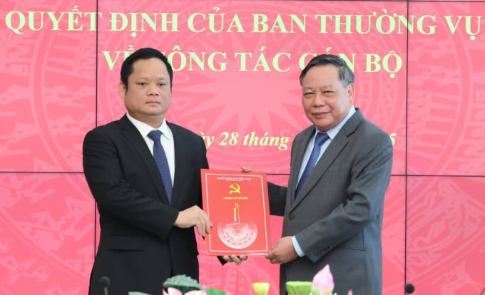 Phó Bí thư Thường trực Thành ủy Hà Nội Nguyễn Văn Phong trao quyết định cho ông Vũ Minh Tuấn (trái) sáng 28/11. Ảnh: Hoàng Phong