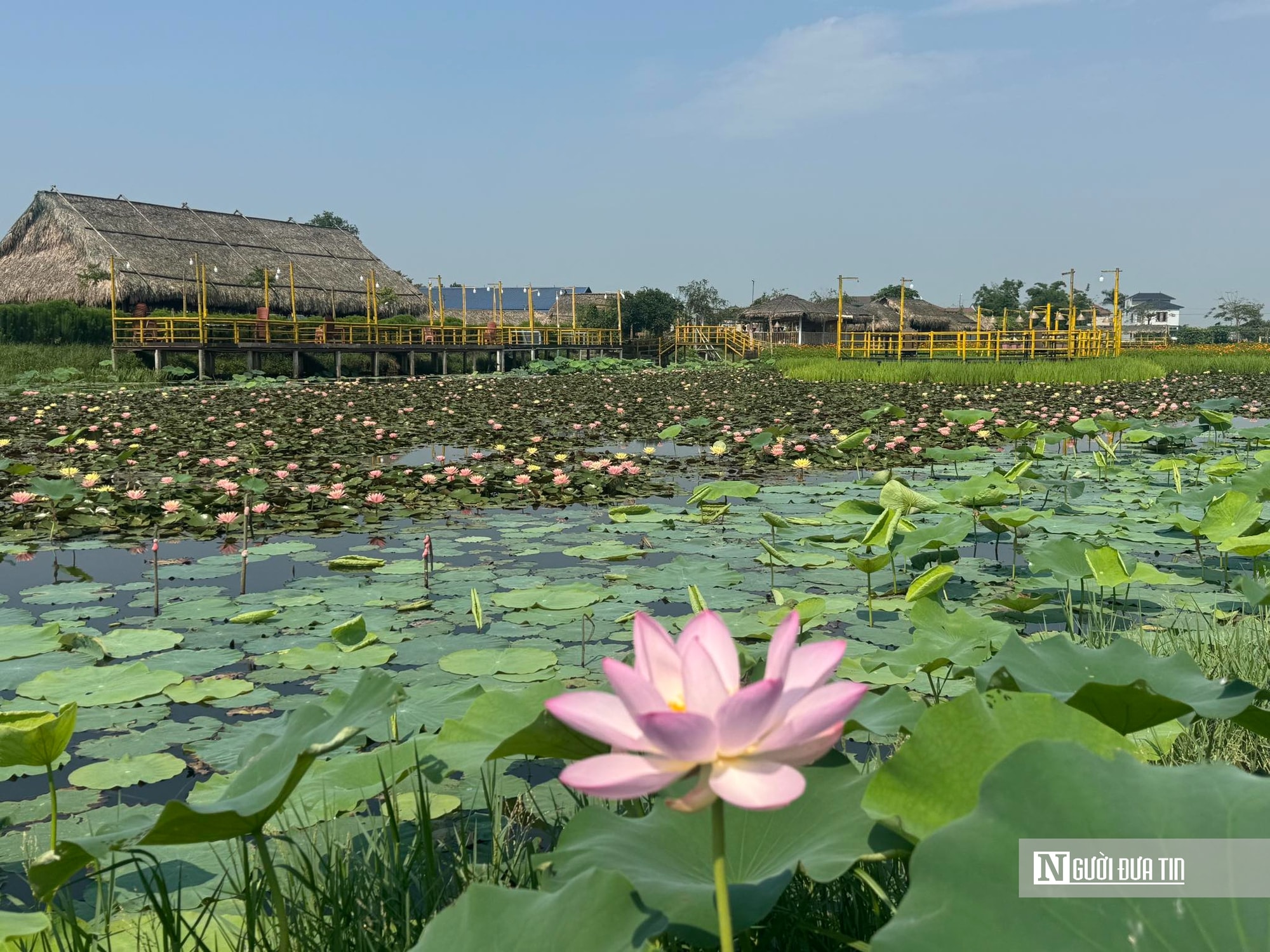 Chàng trai 8X vượt qua giông bão, “hồi sinh” khu du lịch sinh thái nổi tiếng ven đô Hà Tĩnh - Ảnh 4.