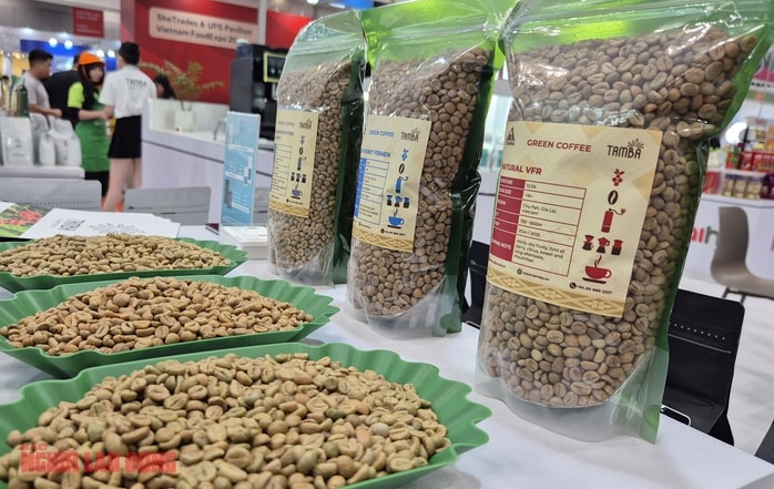 Giá cà phê hôm nay 28-11: Tăng trở lại, Malaysia mê cà phê Việt - Ảnh 1.