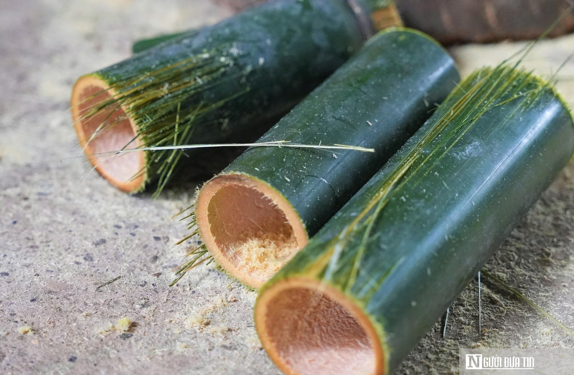 Người dân miền núi Nghệ An có thu nhập cao từ con siêu gặm nhấm - Ảnh 6.