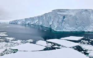 Đại bàng gây tai nạn kỳ lạ, làm vỡ kính chắn gió ô tô - Ảnh 4.