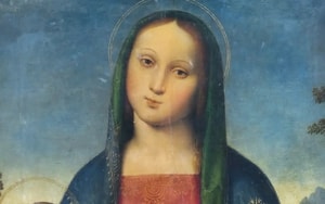 Đại bàng gây tai nạn kỳ lạ, làm vỡ kính chắn gió ô tô - Ảnh 3.