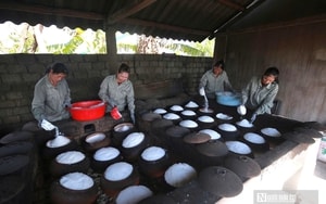 Người dân miền núi Nghệ An thu lời cao từ con siêu gặm nhấm - Ảnh 9.