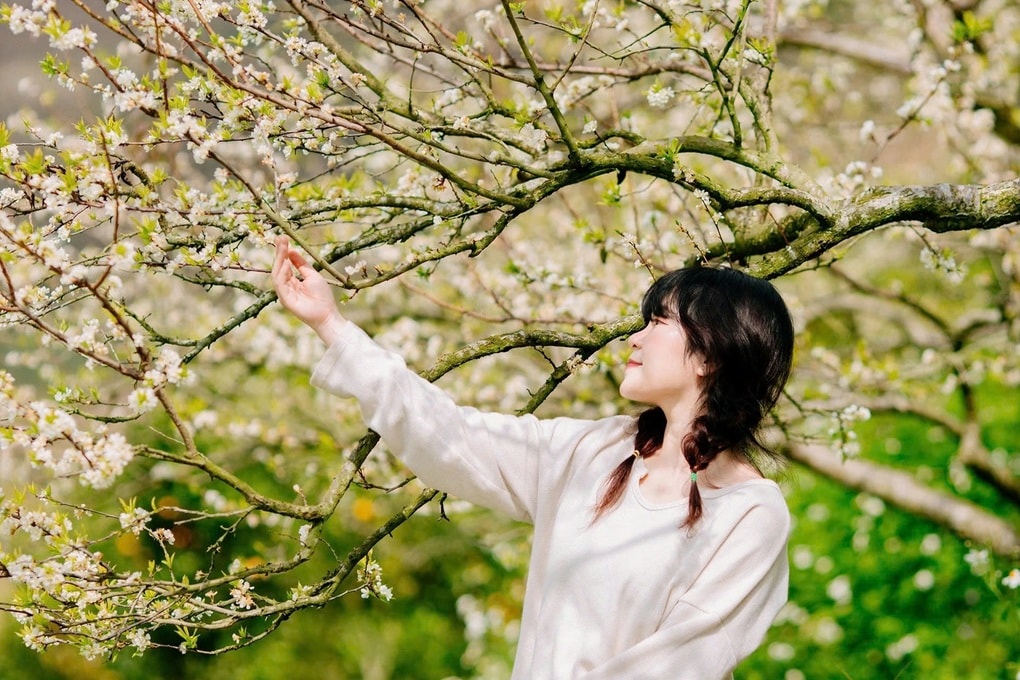 Nông nghiệp xanh ở Sơn La tạo nên thương hiệu du lịch nông thôn Tây Bắc - 3