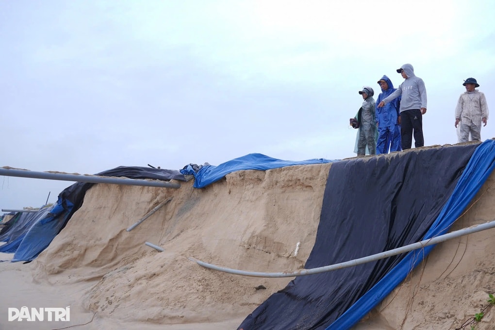 Vỡ hồ nuôi ốc hương, nhiều hộ dân mất trắng tiền tỷ - 1