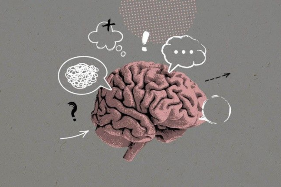 5 giai đoạn não bộ tái cấu trúc trong đời người (Pinterest)