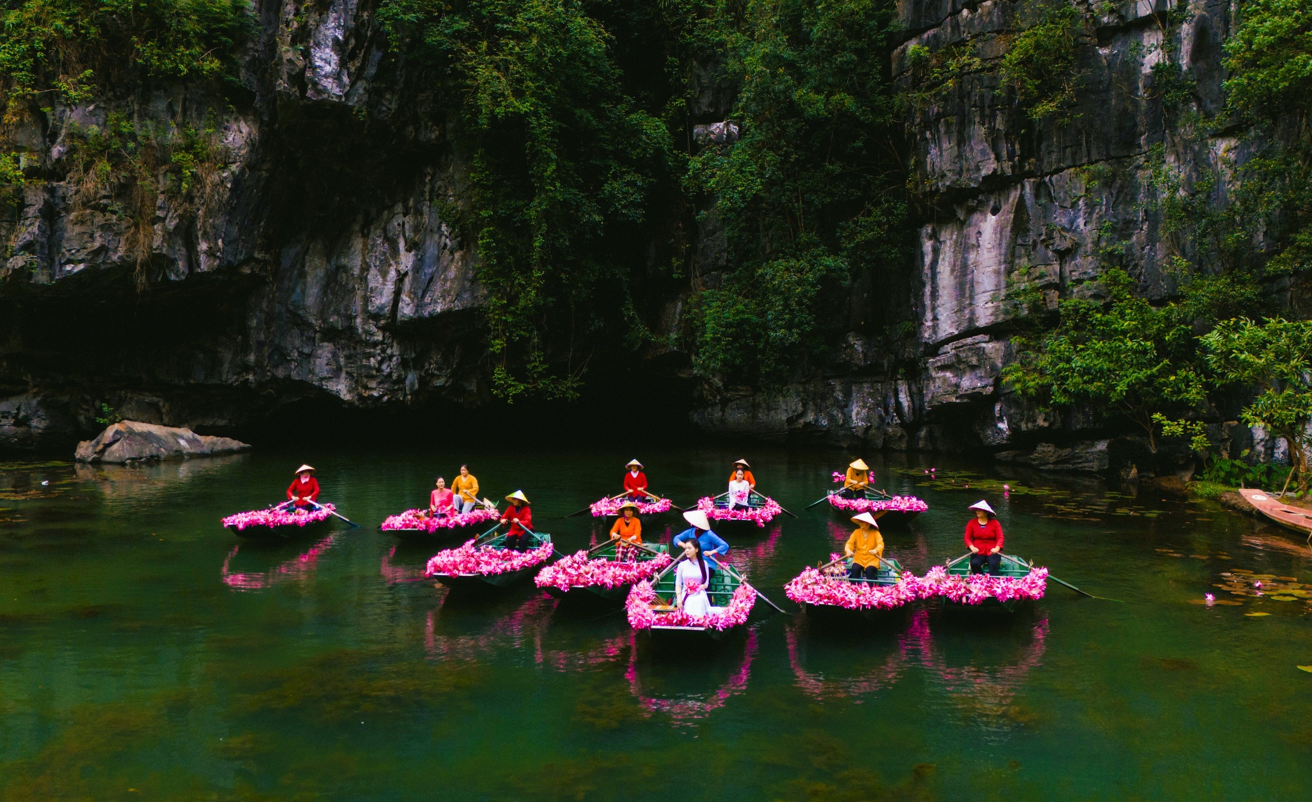 Tam Cốc ngọt lịm mùa hoa súng - Ảnh 10.