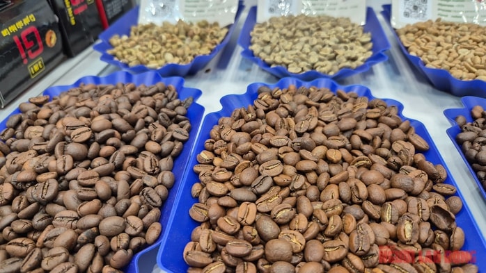 Giá cà phê hôm nay 30 - 11: Xu hướng bất ngờ trên thị trường cà phê - Ảnh 1.