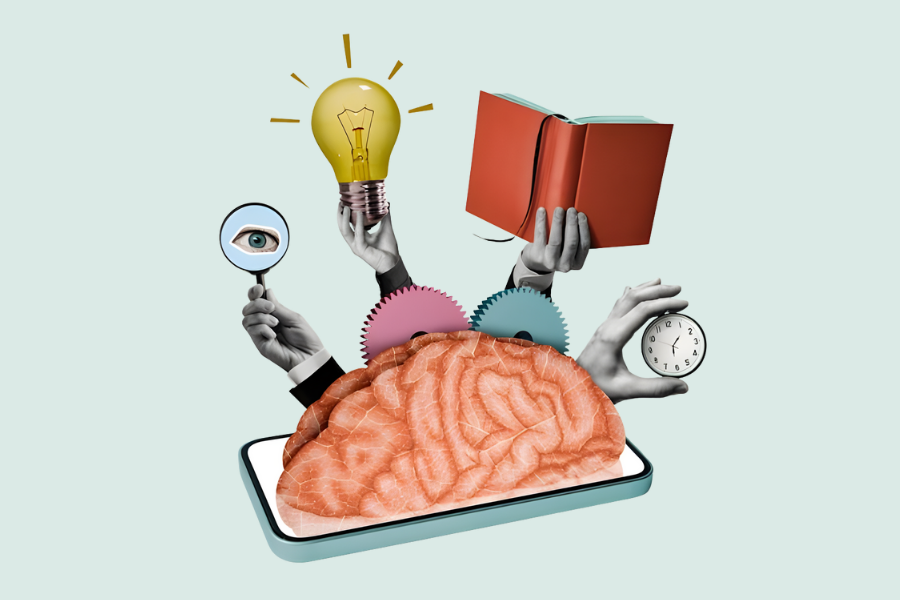 Từ 32 đến 66 tuổi Não bước vào giai đoạn ổn định kéo dài nhất