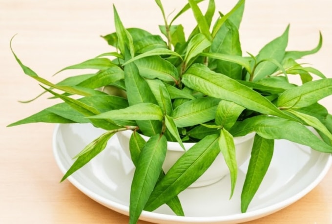 Rau răm có tác dụng hỗ trợ tiêu hóa, kháng viêm và tốt cho tim mạch. Ảnh được tạo bởi AI