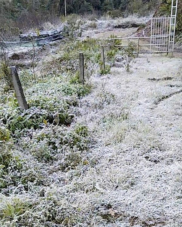 Một tuyến đường ở bản Buộc Mú, xã Na Ngoi bị băng phủ trắng xóa. Ảnh: Hải Thượng