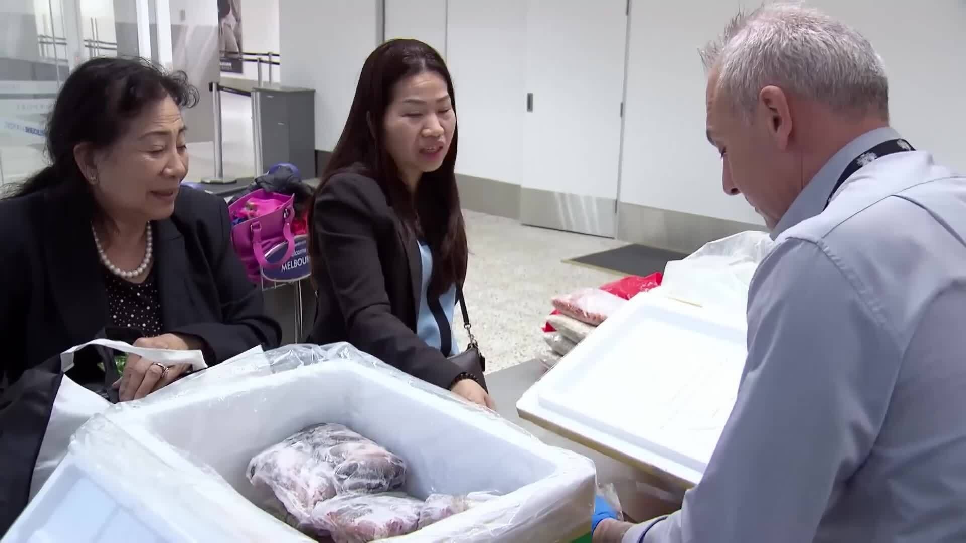 Khách Việt mang cua sống nhập cảnh Australia