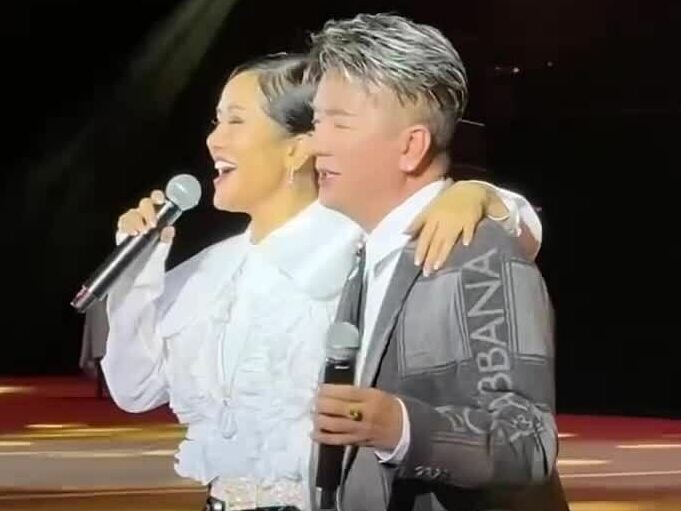 Hồng Nhung, Đàm Vĩnh Hưng hát