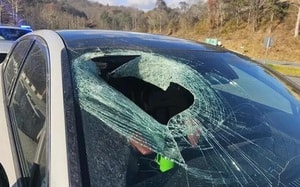 Hai người tử vong vì thi ăn nhanh - Ảnh 3.