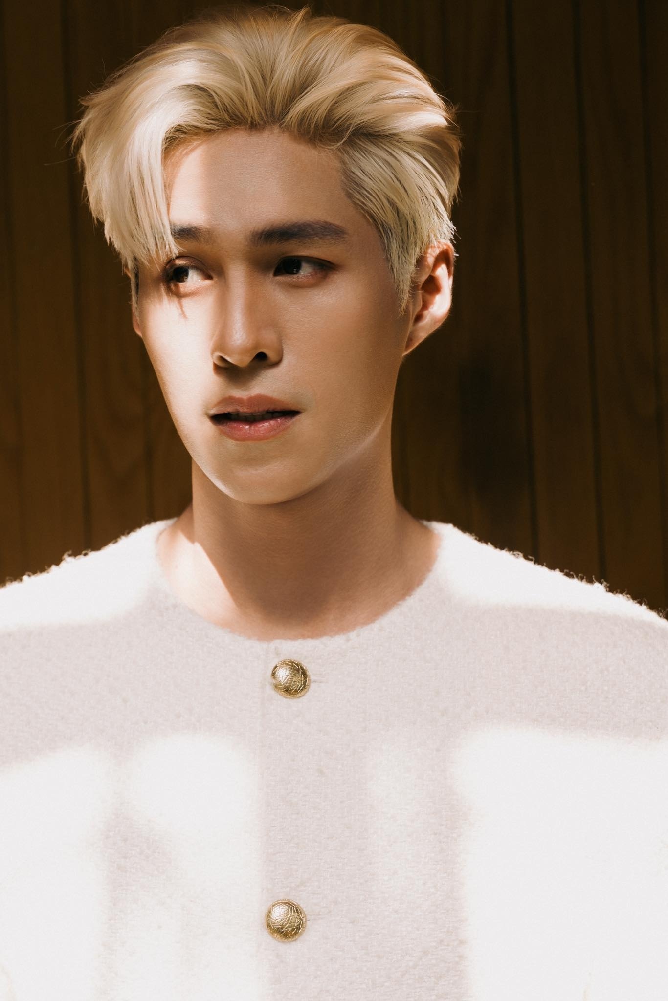 lê dương bảo lâm ảnh 1 le duong bao lam anh 1