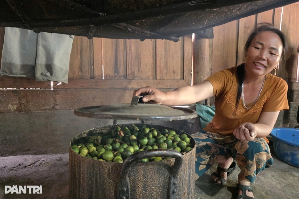 Loại quả gợi nhớ thời khó khăn nay giúp dân bản thu nhập khá - 1 Loại quả gợi nhớ thời khó khăn nay giúp dân bản thu nhập khá - 1