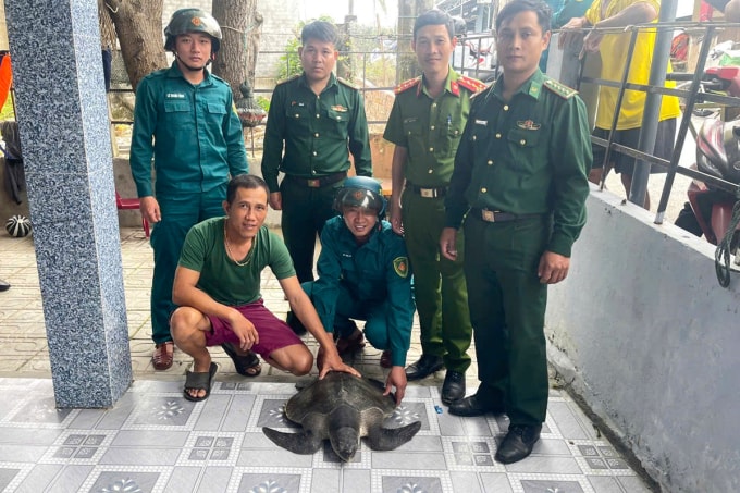 Lực lượng chức năng tiếp nhận bàn giao cá thể đồi mồi từ anh Giới (hàng dưới, bên trái). Ảnh: Nam Nguyễn