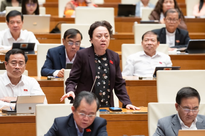 Đại biểu Phạm Khánh Phong Lan, Giám đốc Sở An toàn thực phẩm TP HCM. Ảnh: Hoàng Phong