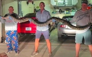 Phát hiện bất ngờ trong bệnh viện bỏ hoang - Ảnh 6.