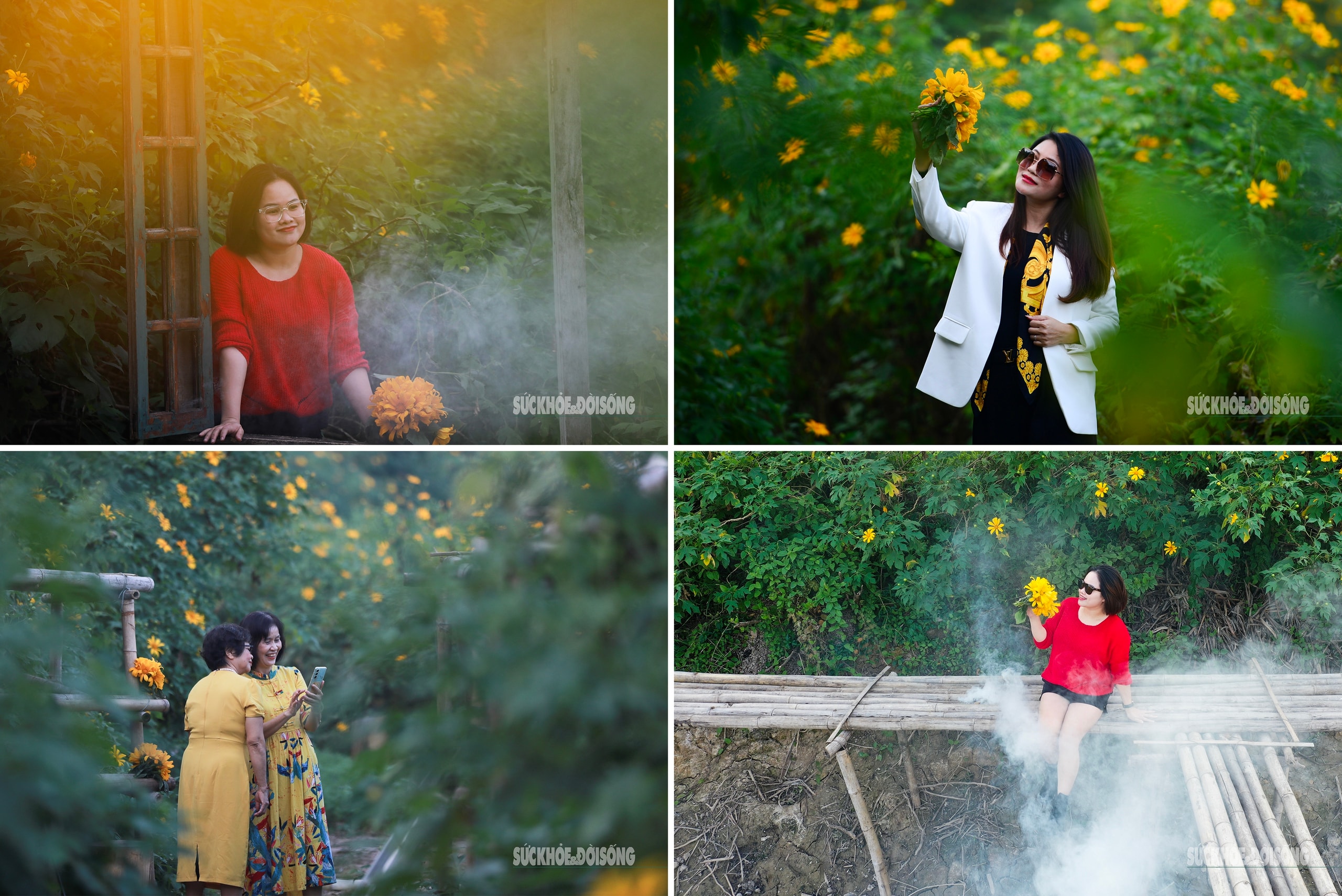 Vườn dã quỳ bung sắc giữa Thủ đô hút khách đến check-in- Ảnh 5.