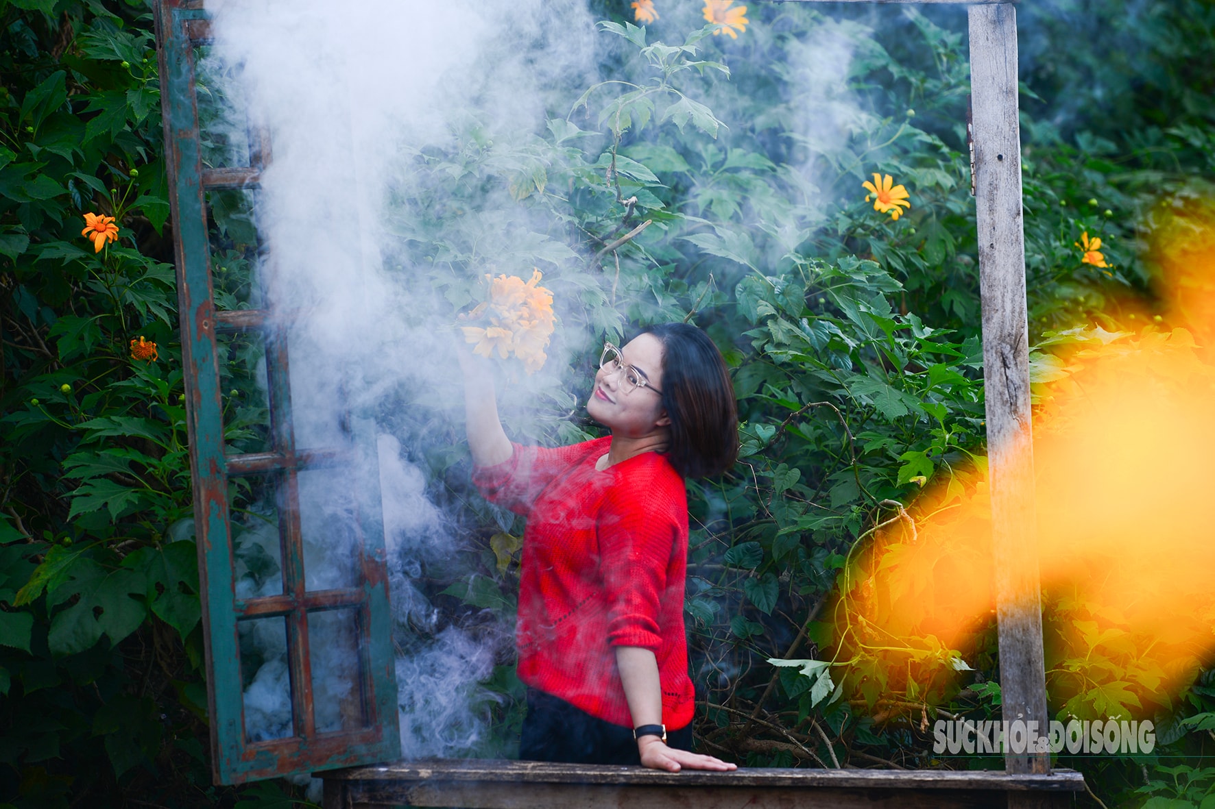 Vườn dã quỳ bung sắc giữa Thủ đô hút khách đến check-in- Ảnh 6.