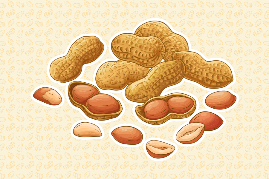 ăn đậu phộng giúp cản thiện trí nhớ