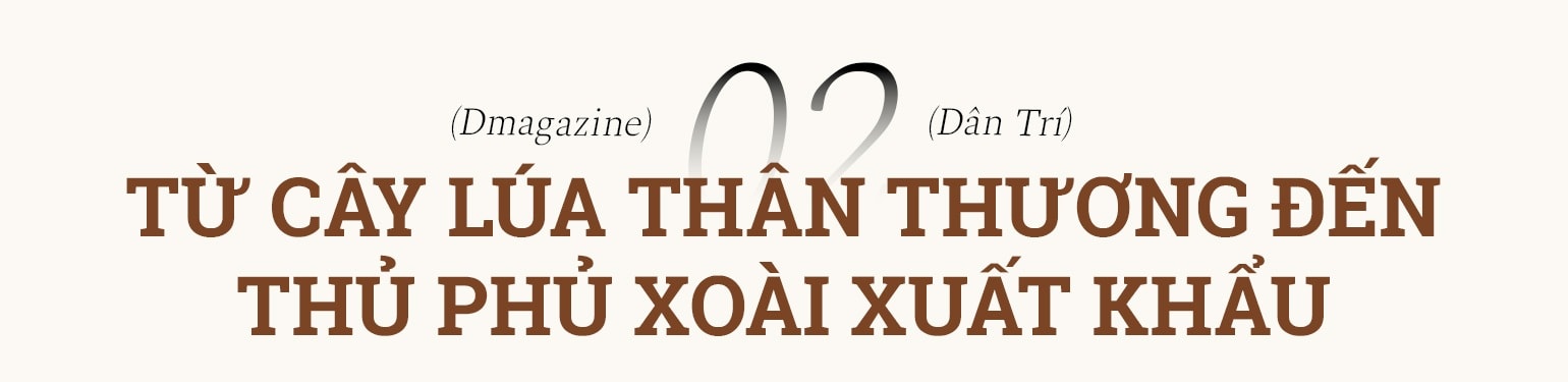 Từ cù lao nghèo đến vùng trồng xoài xuất khẩu bậc nhất ĐBSCL - 7