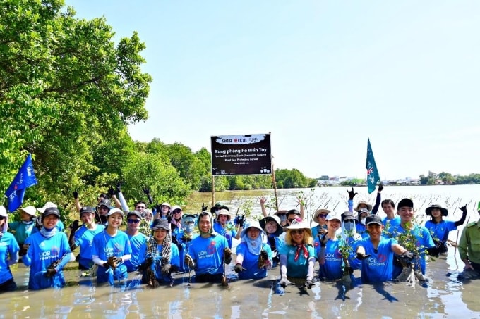 Đội ngũ ngân hàng trồng cây tại rừng phòng hộ Biển Tây. Ảnh: UOB Việt Nam