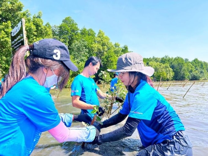 Cán bộ, nhân viên ngân hàng trồng cây. Ảnh: UOB Việt Nam