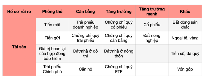 Các lớp tài sản theo hồ sơ rủi ro. Nguồn: Báo cáo chiến lược phân bổ tài sản 2025 của FIDT