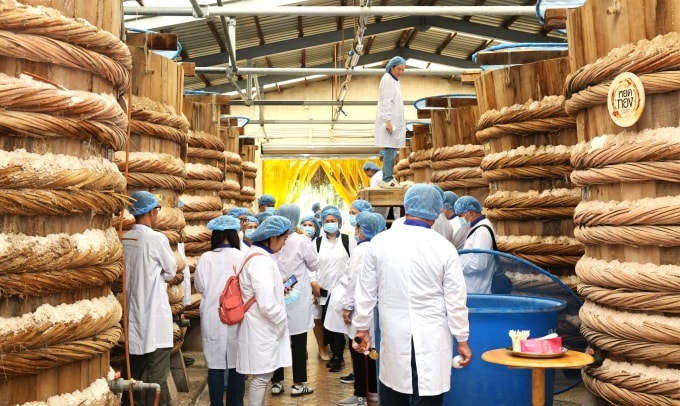 Đoàn đối tác Thái Lan tham quan không gian nhà thùng Masan Phú Quốc với quy mô gần 500 thùng ủ chượp nước mắm. Ảnh: Masan